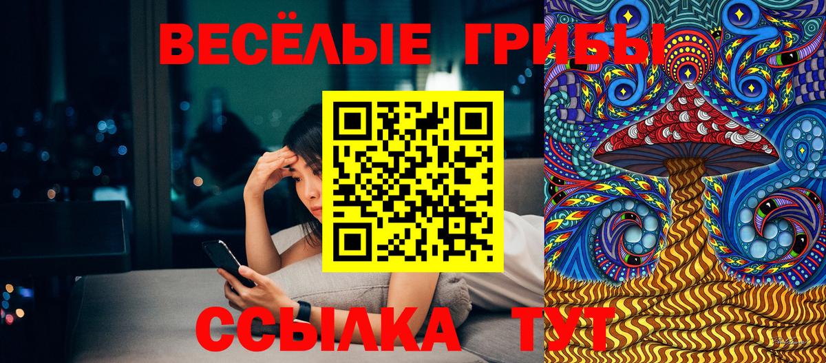 Псилоцибиновые грибы прущие грибы  Вход с VPN  Миллерово  купить наркоту  Галлюциногенные грибы Psilocybe 